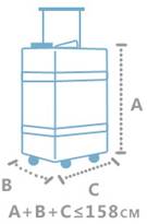 sas baggage size